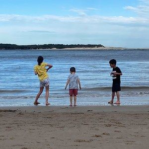 Meet your Posher, Daniella tripodi